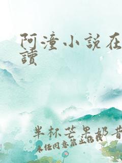 阿潼小说在线阅读