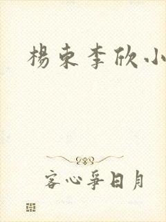 杨东李欣小说