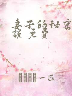 妻子的秘密 小说 免费