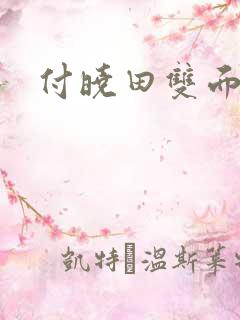 付晓田双面间谍