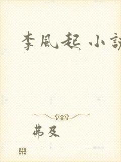 李风起 小说