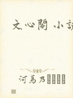文心阁 小说
