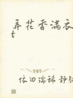 弄花香满衣txt