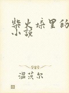 柴火垛里的疯狂小说