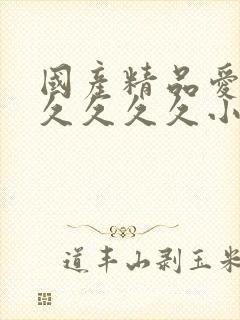 国产精品爱久久久久久久小说