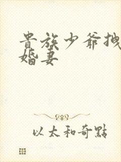 贵族少爷拽拽未婚妻