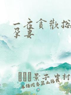 一夜贪欢总裁幸孕妻