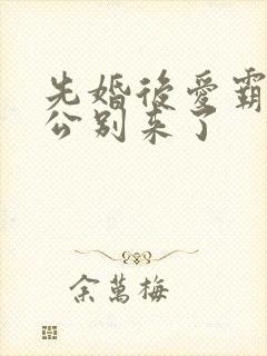 先婚后爱霸道老公别来了