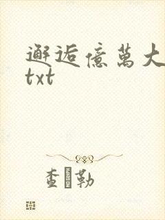 邂逅亿万大人物txt