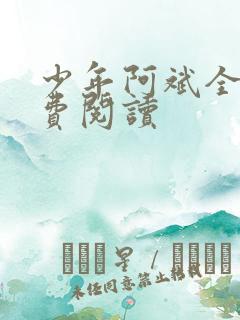 少年阿斌全文免费阅读