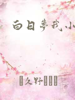 白日梦我小说