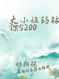 大小姐的贴身保镖5200