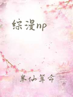 综漫np