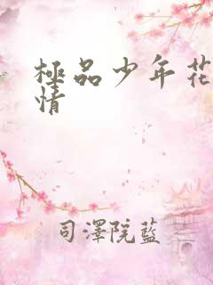 极品少年花都燃情