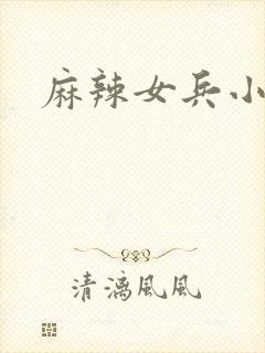 麻辣女兵小说版