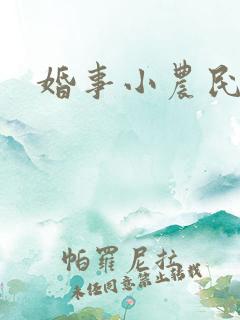 婚事小农民
