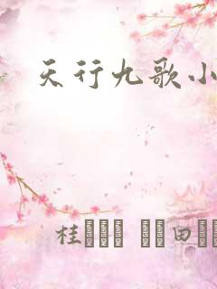 天行九歌小说