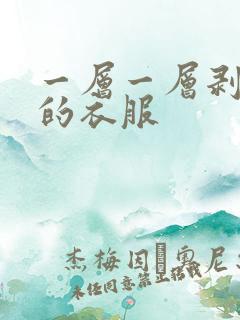 一层一层剥开你的衣服