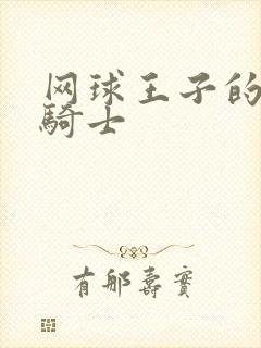网球王子的公主骑士