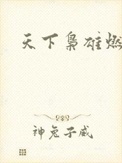 天下枭雄燃文