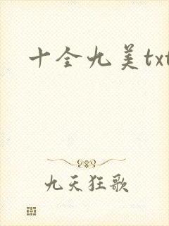 十全九美txt