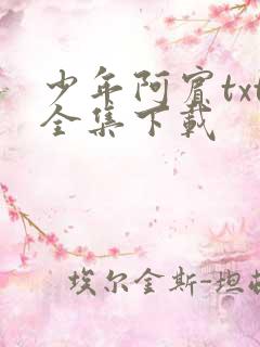 少年阿宾txt全集下载
