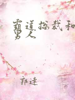 霸道总裁和他的男人