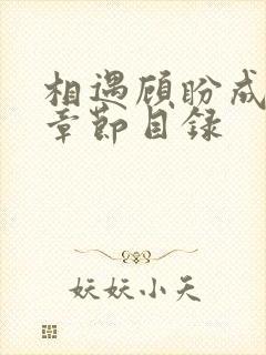 相遇顾盼成欢全章节目录