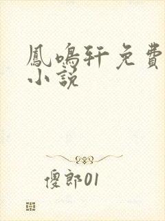 凤鸣轩免费言情小说