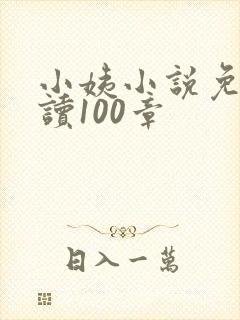 小姨小说免费阅读100章