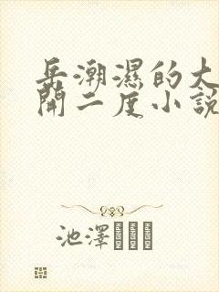 岳潮湿的大肥梅开二度小说