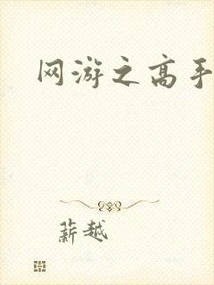 网游之高手寂寞