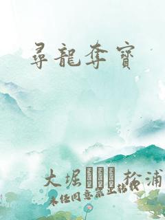 寻龙夺宝