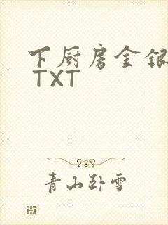 下厨房金银花露 TXT