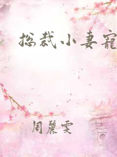 总裁小妻宠上天