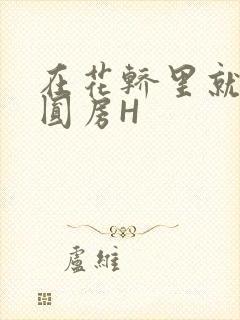 在花轿里就开始圆房H