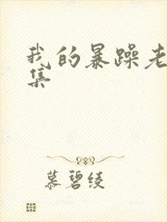 我的暴躁老妈全集