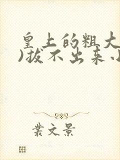 皇上的粗大(h)拔不出来小说