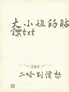 大小姐的贴身保镖txt