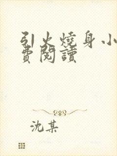 引火烧身小说免费阅读