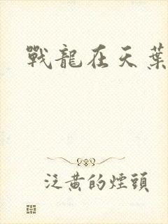 战龙在天叶凡