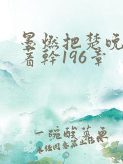 墨燃把楚晚宁按着干196章