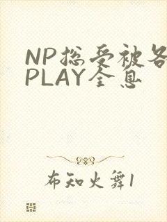 NP总受被各种PLAY全息