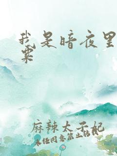 我是暗夜里的罂粟