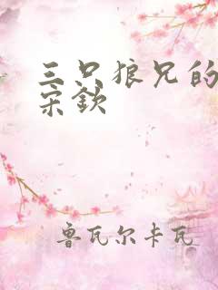 三只狼兄的宠妻宋钦