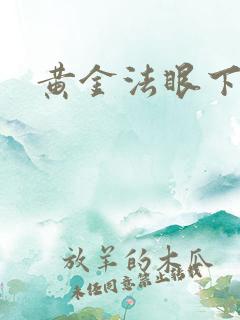 黄金法眼下载