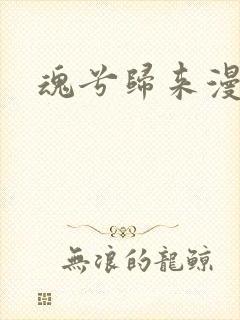 魂兮归来漫蒹葭