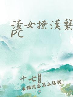 渣女撩汉系统NPC