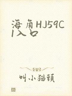海角HJ59C1入口