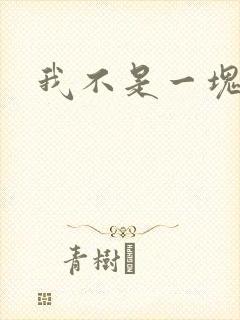 我不是一块石头